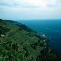 Cinque Terre 99