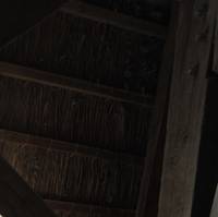 D014 158 NEFprev crop Crop(NEF)