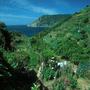 Cinque Terre 99