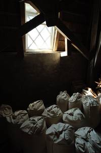 D014_158b1.jpg JPG neu (CNX 2.4.1)