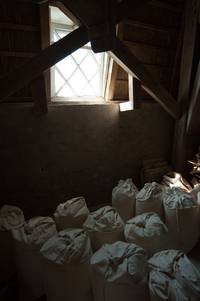 D014_158_LR.jpg JPG LR4.4 unbearbeitet