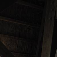 D014_158crop.jpg Crop(JPG)