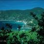 Cinque Terre 99